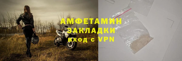 прущие грибы Каменка