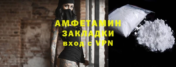 прущие грибы Каменка