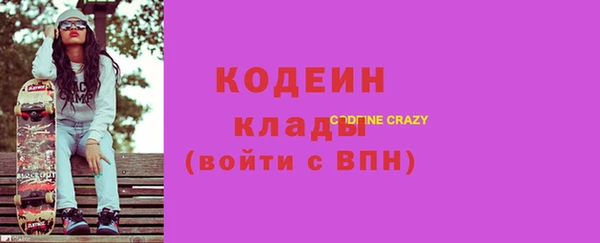 прущие грибы Каменка