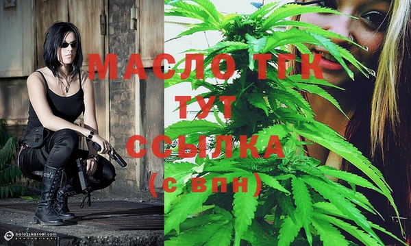 прущие грибы Каменка