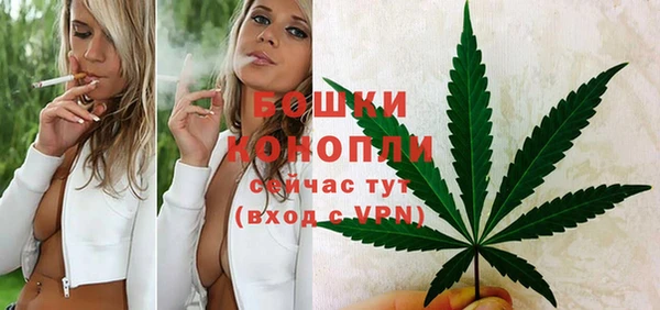 прущие грибы Каменка