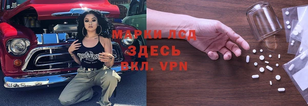 прущие грибы Каменка